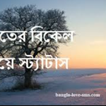 শীতের বিকেল নিয়ে স্ট্যাটাস