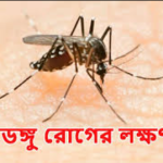 ডেঙ্গু রোগের লক্ষণ