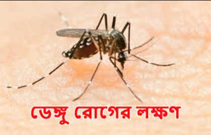 ডেঙ্গু রোগের লক্ষণ