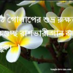 কাঠগোলাপ নিয়ে ক্যাপশন