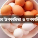 ডিমের উপকারিতা ও অপকারিতা