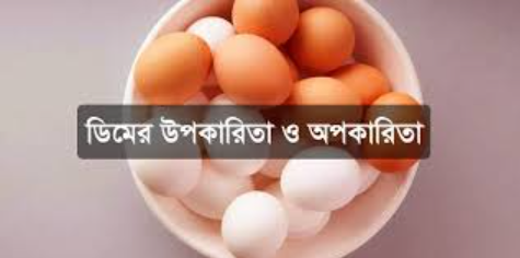 ডিমের উপকারিতা ও অপকারিতা